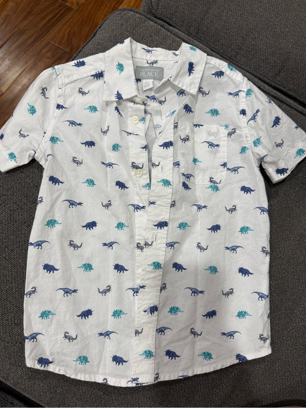 The Children's Place White Button-Down Shirt with Blue & Teal Dinosaur Print